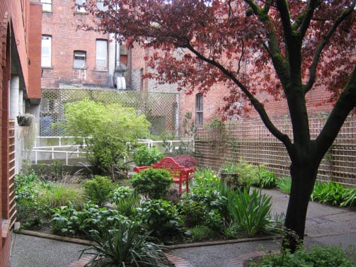 Court Yard Garden image